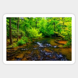 Mountain Stream on the Abrams Falls Trail Sticker